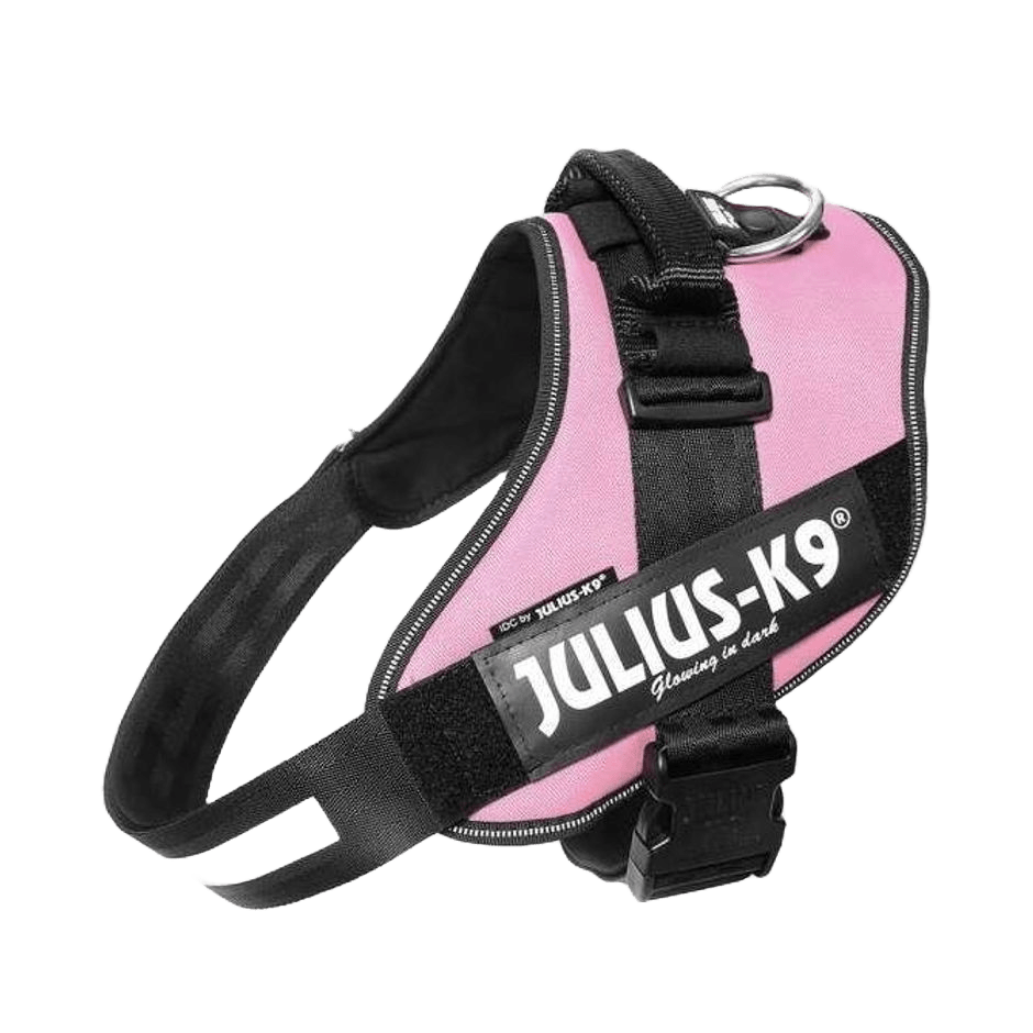 Julius - K9 IDC - sele Rosa - DjurZooJulius - K9 IDC - sele RosaJulius K9DjurZooH61685459990536168543Julius - K9 IDC - sele Rosa