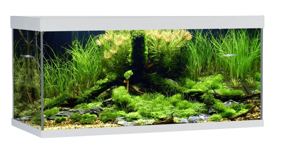 AkvaStabil ELEMENT Aquarium – 180 liter - DjurZooAkvaStabil ELEMENT Aquarium – 180 literAkvaStabilDjurZooA40100W5701883392149180 L - 100x40x48 cmAkvaStabil ELEMENT Aquarium – 180 liter