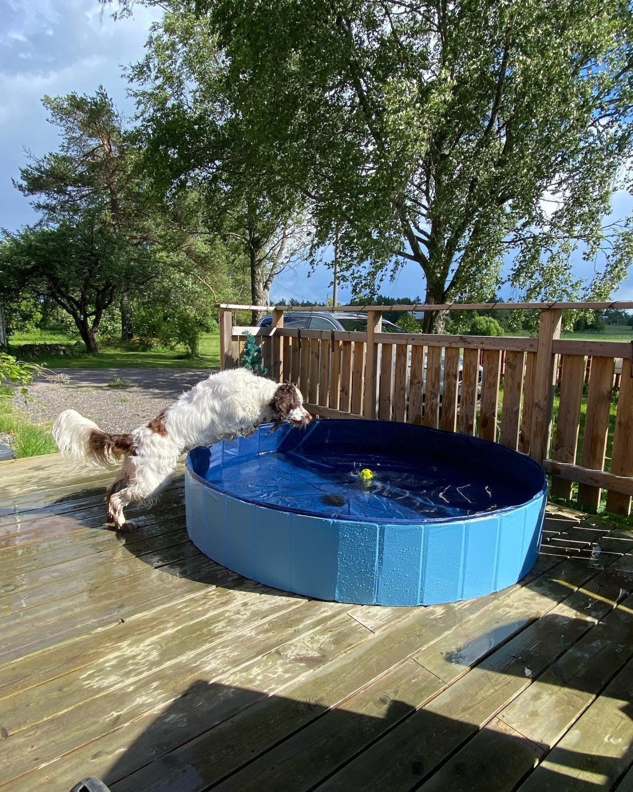 Dogman Hundpool - DjurZooDogman HundpoolDogmanDjurZoo7605147312137605144160 cmDogman Hundpool