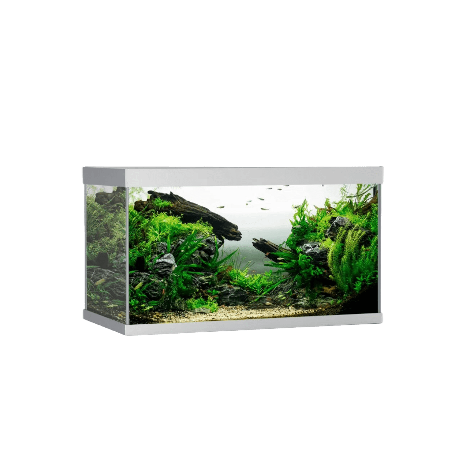 AkvaStabil ELEMENT Aquarium Silver – 144 liter - DjurZooAkvaStabil ELEMENT Aquarium Silver – 144 literAkvaStabilDjurZooA40080G5701883392101144 L - 80x40x48 cmAkvaStabil ELEMENT Aquarium Silver – 144 liter