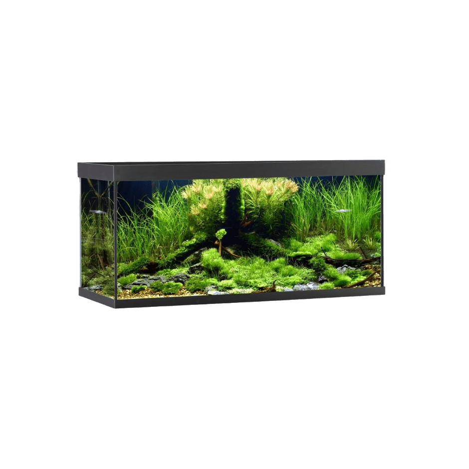 AkvaStabil ELEMENT Aquarium Svart – 180 liter - DjurZooAkvaStabil ELEMENT Aquarium Svart – 180 literAkvaStabilDjurZooA40100B5701883392125180 L - 100x40x48 cmAkvaStabil ELEMENT Aquarium Svart – 180 liter