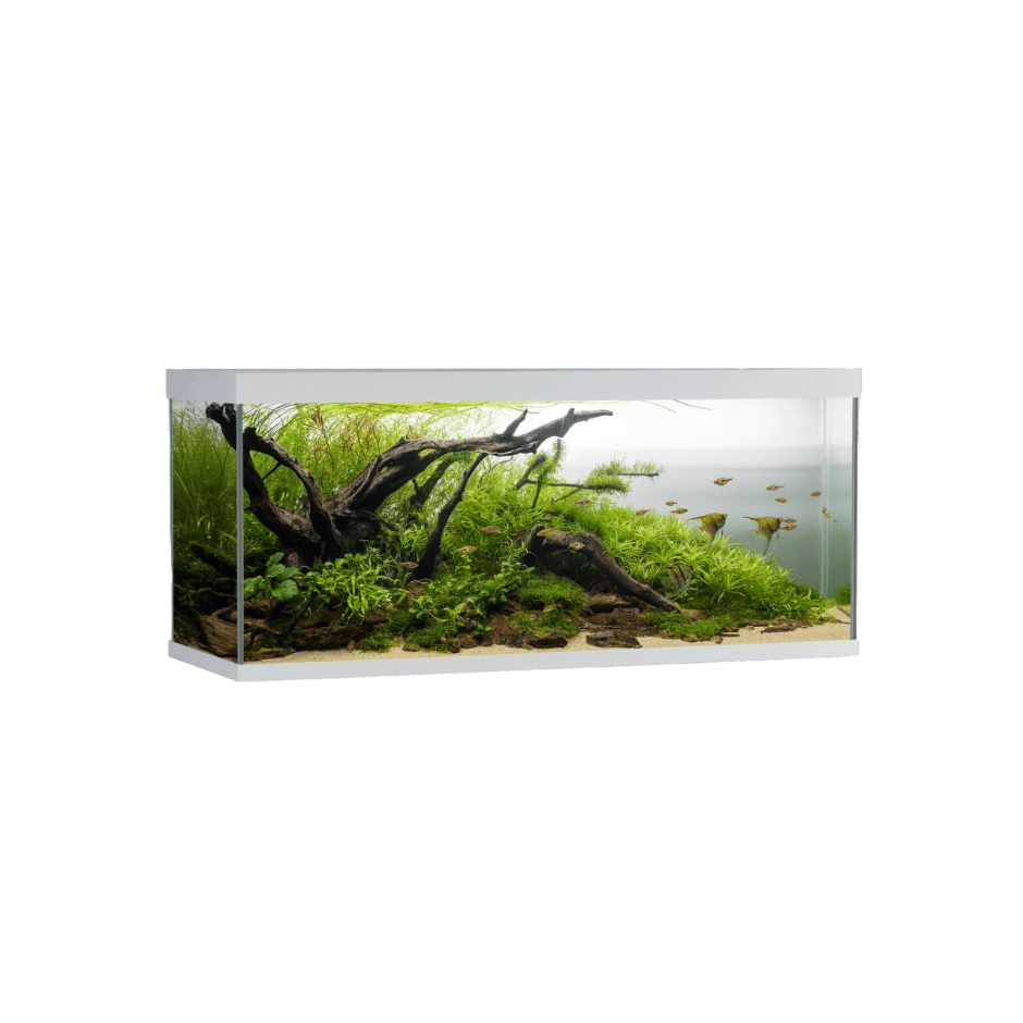 AkvaStabil ELEMENT Aquarium – 240 liter - DjurZooAkvaStabil ELEMENT Aquarium – 240 literAkvaStabilDjurZooA40120W5701883392170240 L - 120x40x53 cmAkvaStabil ELEMENT Aquarium – 240 liter