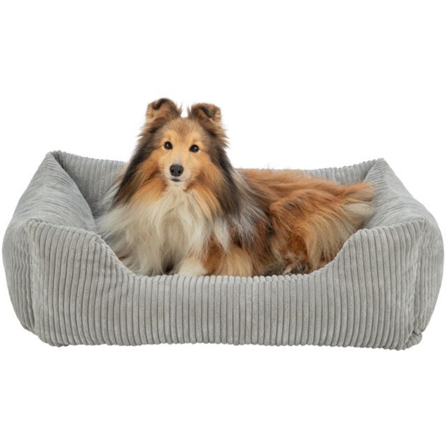 Trixie Hundbädd Jonna Grå - DjurZooTrixie Hundbädd Jonna GråTrixieDjurZoo372764011905683270120 × 80Trixie Hundbädd Jonna Grå