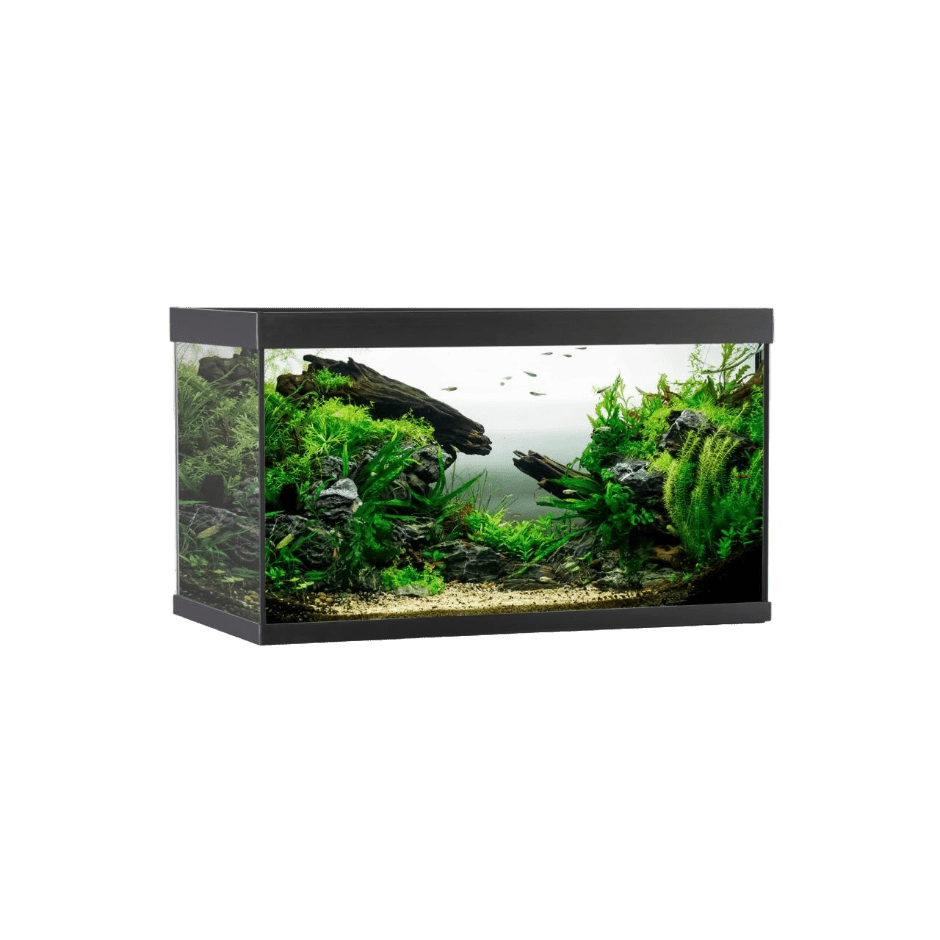 AkvaStabil ELEMENT Aquarium Svart – 144 liter - DjurZooAkvaStabil ELEMENT Aquarium Svart – 144 literAkvaStabilDjurZooA40080B5701883392095144 L - 80x40x48 cmAkvaStabil ELEMENT Aquarium Svart – 144 liter