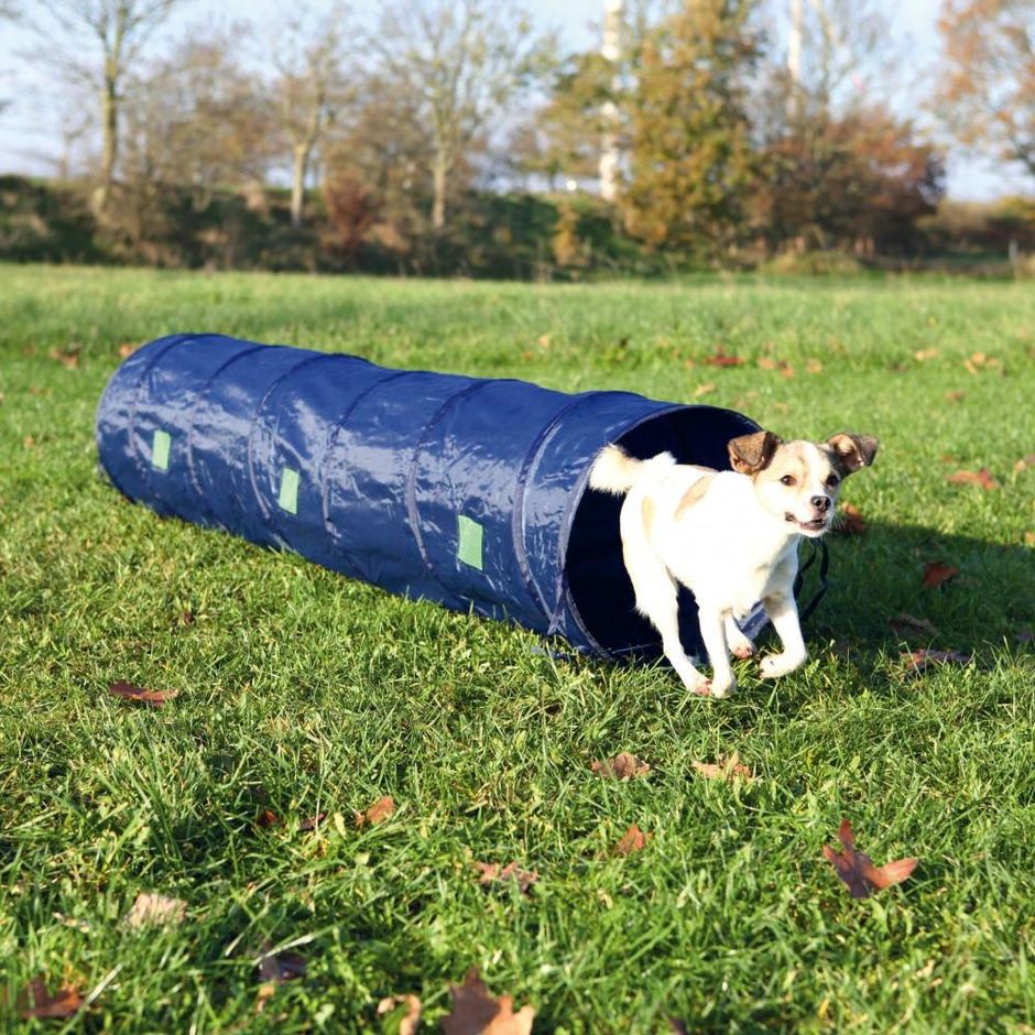 TRIXIE Agility Tunnel 2 m - DjurZooTRIXIE Agility Tunnel 2 mTRIXIE Agility Tunnel 2 mTrixieDjurZoo32104011905032108TRIXIE Agility Tunnel 2 m