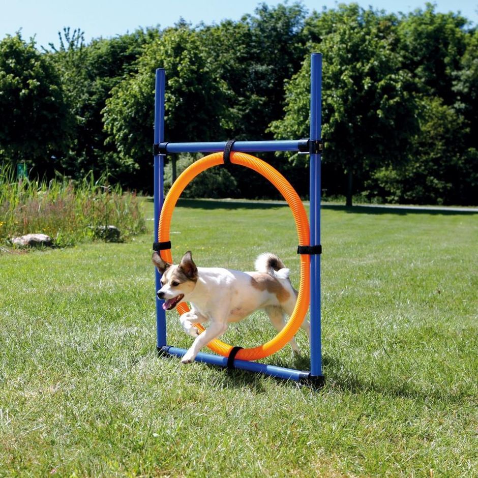 TRIXIE Agility Hoppring - DjurZooTRIXIE Agility HoppringTRIXIE Agility HoppringTrixieDjurZoo32084011905032085TRIXIE Agility Hoppring