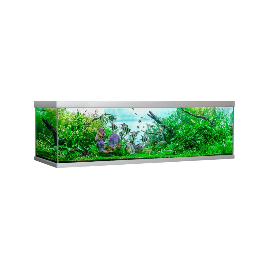 AkvaStabil FUSION Akvarium – Flexibel Belysning - DjurZooAkvaStabil FUSION Akvarium – Flexibel BelysningAkvaStabilDjurZooA10200X75W5701883336143900 LiterAkvaStabil FUSION Akvarium – Flexibel Belysning