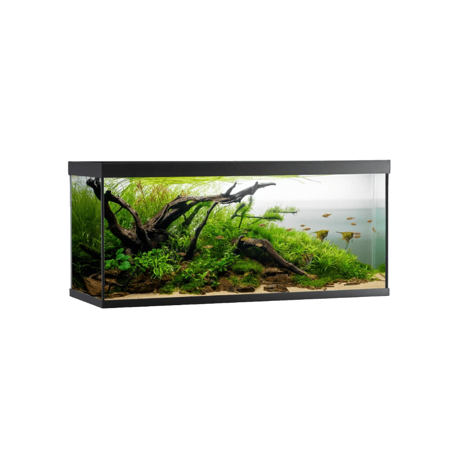 AkvaStabil ELEMENT Aquarium – 240 liter - DjurZooAkvaStabil ELEMENT Aquarium – 240 literAkvaStabilDjurZooA40120B5701883392156240 L - 120x40x53 cmAkvaStabil ELEMENT Aquarium – 240 liter