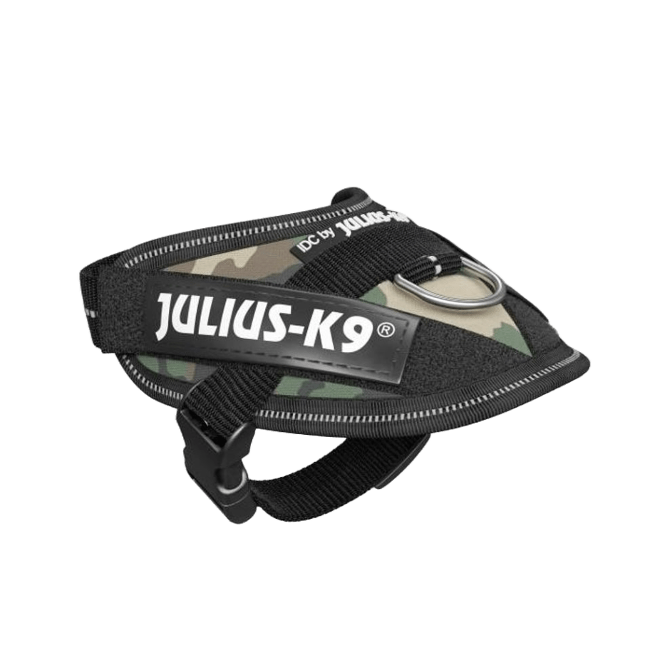 Julius - K9 IDC Sele Camo - DjurZooJulius - K9 IDC Sele CamoJulius K9DjurZooH6427925999053642792Baby 1Julius - K9 IDC Sele Camo