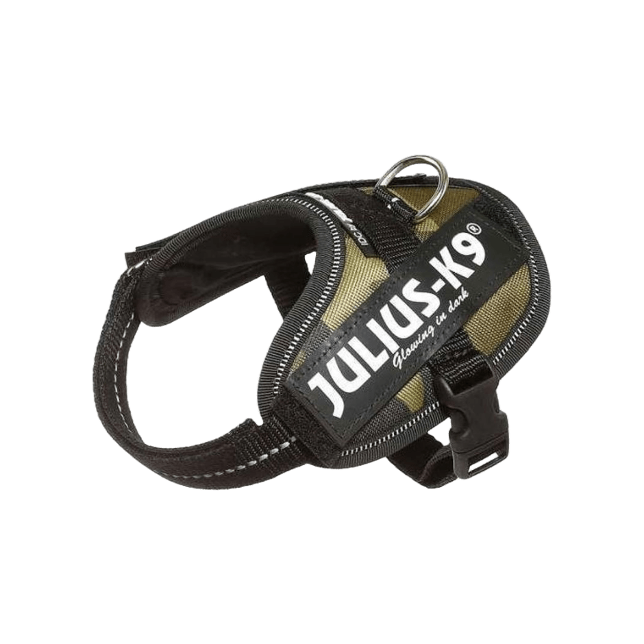 Julius - K9 IDC Sele Camo - DjurZooJulius - K9 IDC Sele CamoJulius K9DjurZooH6428085999053642808Baby 2Julius - K9 IDC Sele Camo