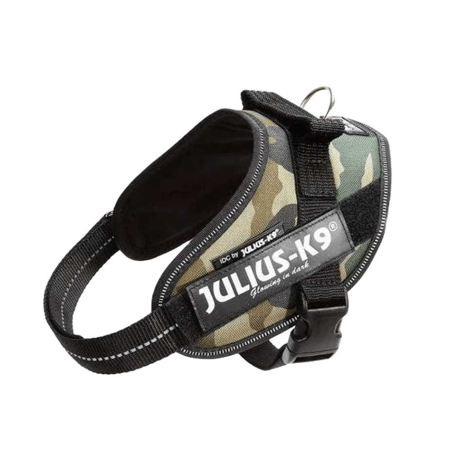 Julius - K9 IDC Sele Camo - DjurZooJulius - K9 IDC Sele CamoJulius K9DjurZooH6428225999053642822MiniJulius - K9 IDC Sele Camo
