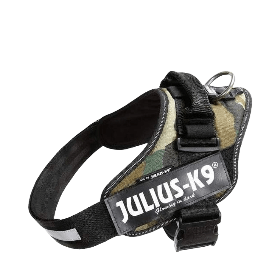 Julius - K9 IDC Sele Camo - DjurZooJulius - K9 IDC Sele CamoJulius K9DjurZooH64284659990536428461Julius - K9 IDC Sele Camo
