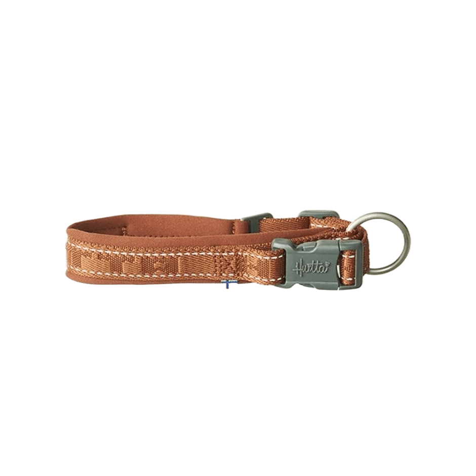 Hurtta Casual ECO Halsband Cinnamon - DjurZooHurtta Casual ECO Halsband CinnamonHurttaDjurZooH93442864103293442822XSHurtta Casual ECO Halsband Cinnamon