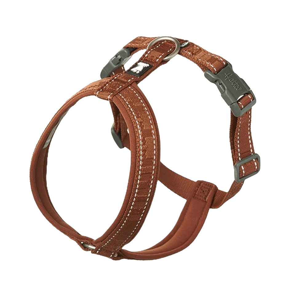 Hurtta Casual ECO Y - Sele Cinnamon - DjurZooHurtta Casual ECO Y - Sele CinnamonHurttaDjurZooH93442064103293442063XSHurtta Casual ECO Y - Sele Cinnamon