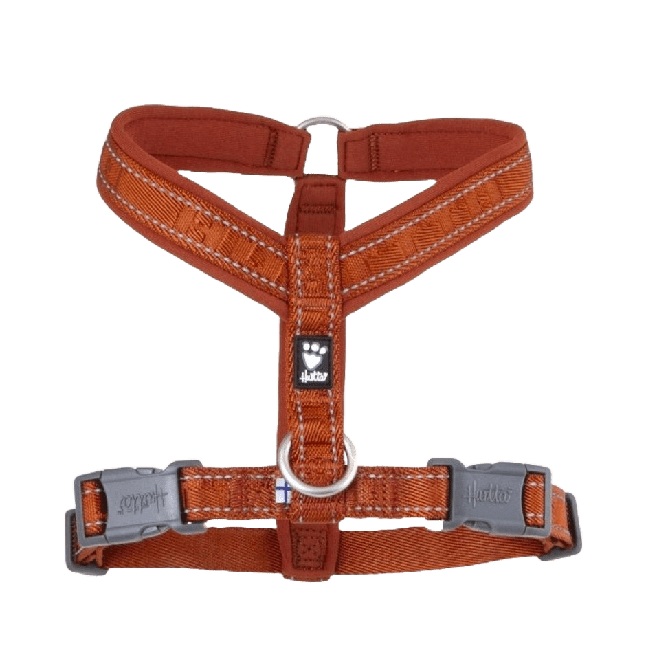 Hurtta Casual Y - Sele Cinnamon - DjurZooHurtta Casual Y - Sele CinnamonHurttaDjurZooH93387264103293387243 XSHurtta Casual Y - Sele Cinnamon