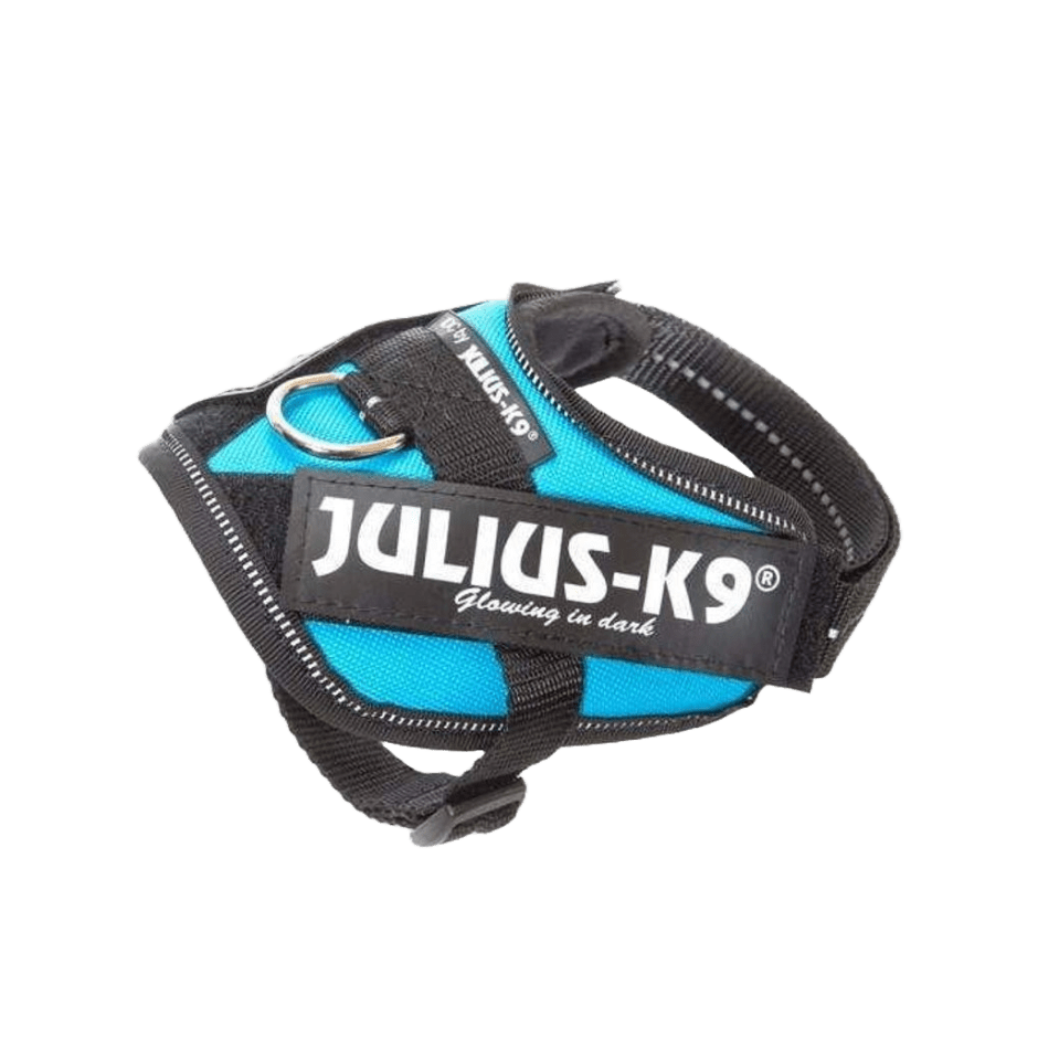 Julius - K9 IDC - sele Aquamarine - DjurZooJulius - K9 IDC - sele AquamarineJulius K9DjurZooH6455025999053645502Baby 2Julius - K9 IDC - sele Aquamarine