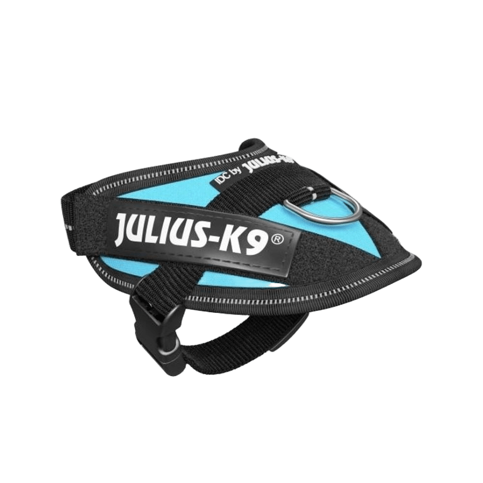 Julius - K9 IDC - sele Aquamarine - DjurZooJulius - K9 IDC - sele AquamarineJulius K9DjurZooH6454965999053645496Baby 1Julius - K9 IDC - sele Aquamarine