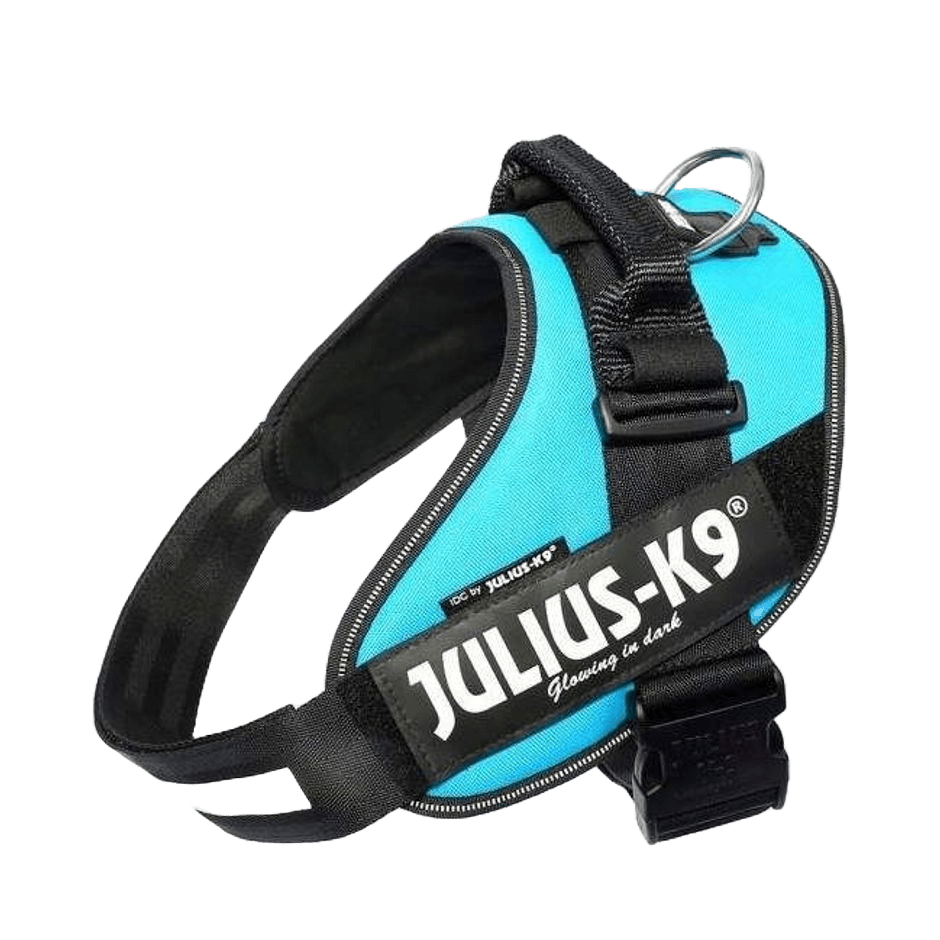 Julius - K9 IDC - sele Aquamarine - DjurZooJulius - K9 IDC - sele AquamarineJulius K9DjurZooH64555759990536455572Julius - K9 IDC - sele Aquamarine