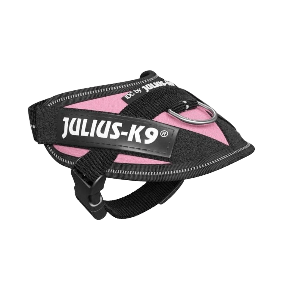 Julius - K9 IDC - sele Rosa - DjurZooJulius - K9 IDC - sele RosaJulius K9DjurZooH6160835999053616083Baby 1Julius - K9 IDC - sele Rosa