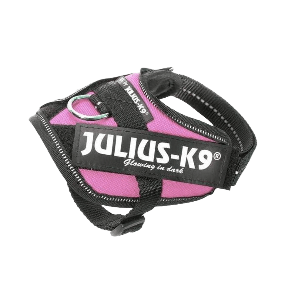 Julius - K9 IDC - sele Rosa - DjurZooJulius - K9 IDC - sele RosaJulius K9DjurZooH6161995999053616199Baby 2Julius - K9 IDC - sele Rosa