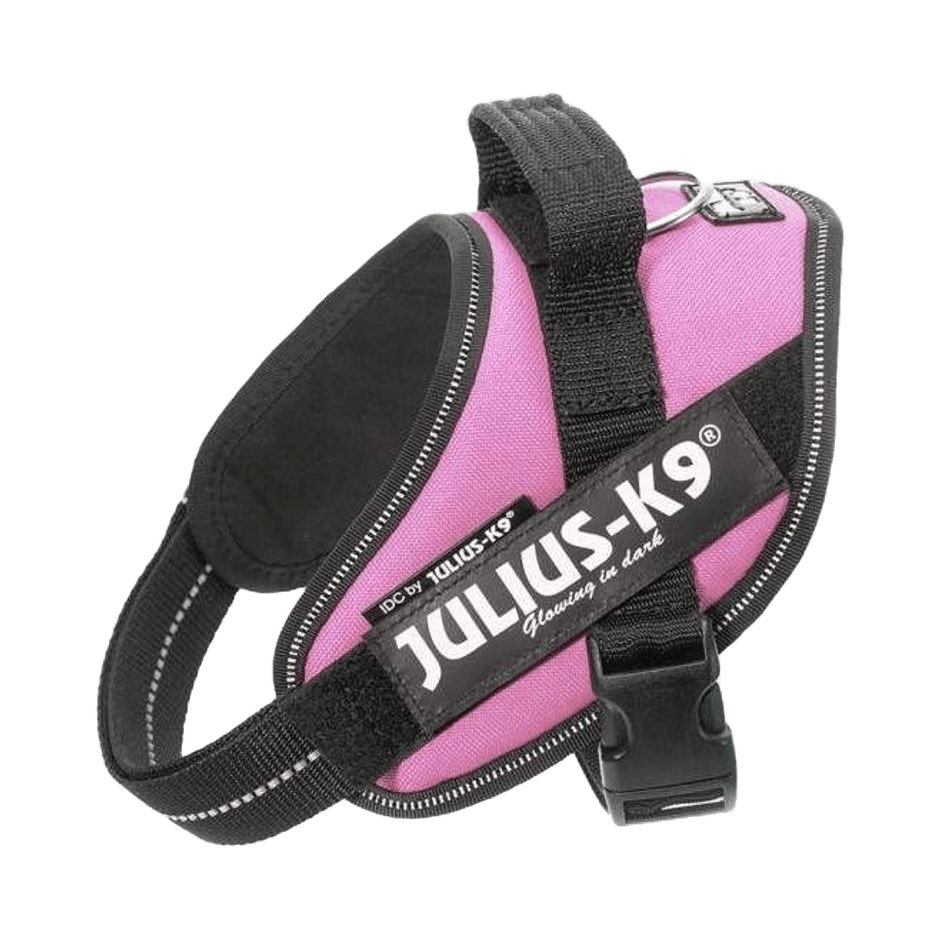 Julius - K9 IDC - sele Rosa - DjurZooJulius - K9 IDC - sele RosaJulius K9DjurZooH6164105999053616410MiniJulius - K9 IDC - sele Rosa