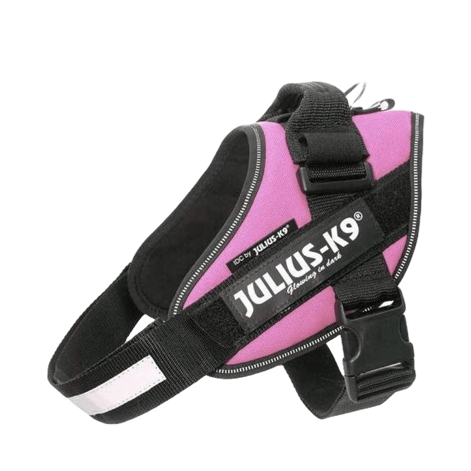 Julius - K9 IDC - sele Rosa - DjurZooJulius - K9 IDC - sele RosaJulius K9DjurZooH61652659990536165260Julius - K9 IDC - sele Rosa