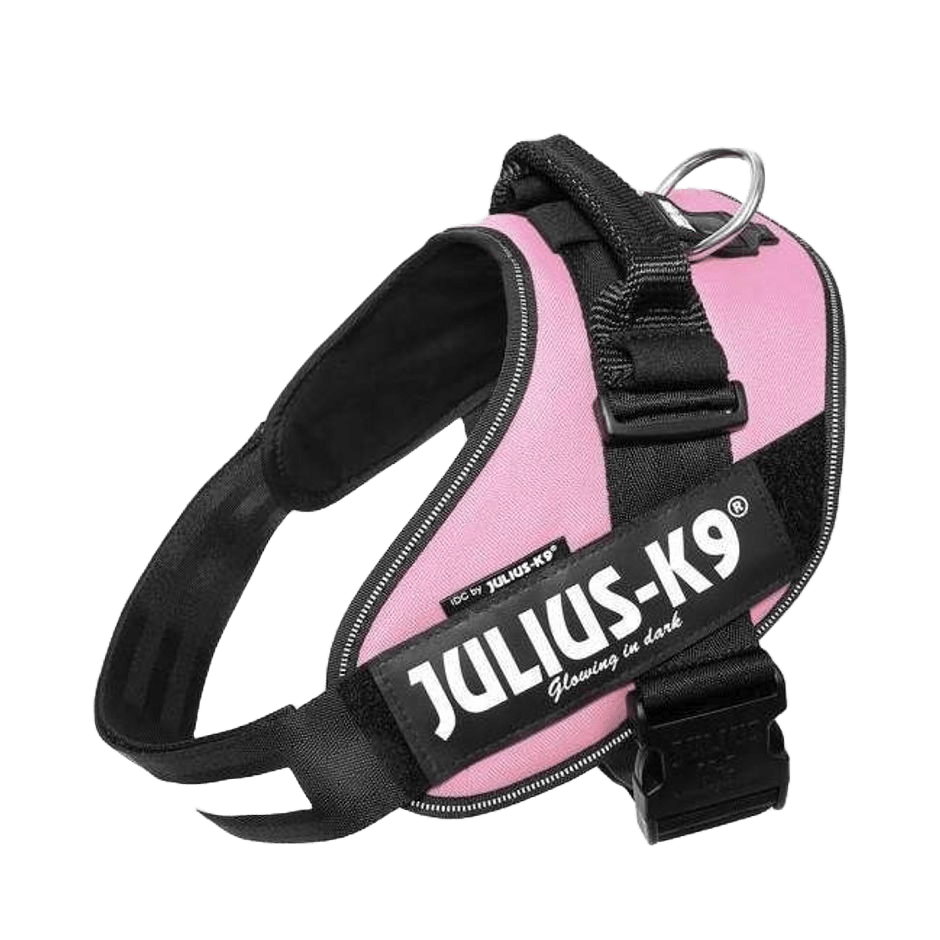 Julius - K9 IDC - sele Rosa - DjurZooJulius - K9 IDC - sele RosaJulius K9DjurZooH61674859990536167482Julius - K9 IDC - sele Rosa