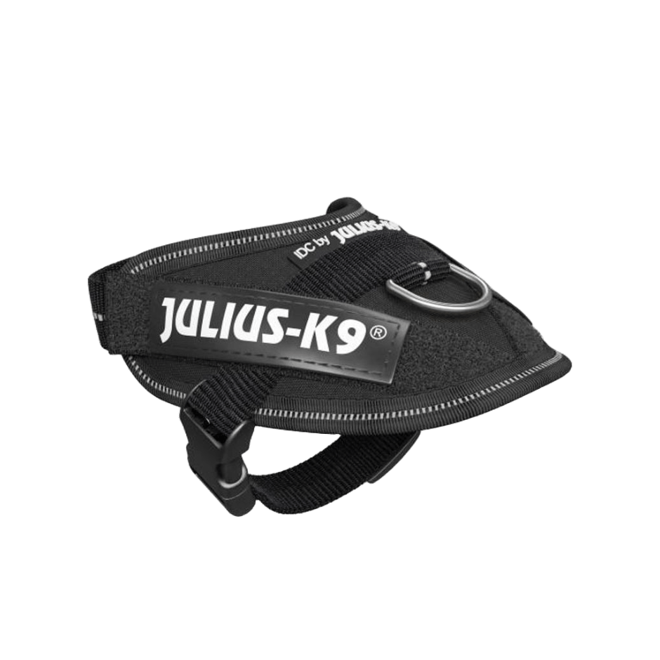 Julius - K9 IDC Sele Svart - DjurZooJulius - K9 IDC Sele SvartJulius K9DjurZooH6160075999053616007Baby 1Julius - K9 IDC Sele Svart