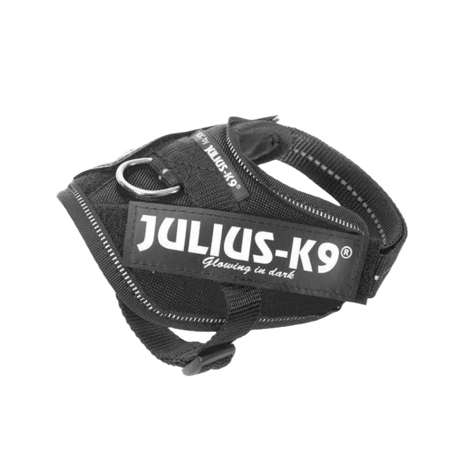 Julius - K9 IDC Sele Svart - DjurZooJulius - K9 IDC Sele SvartJulius K9DjurZooH6161135999053616113Baby 2Julius - K9 IDC Sele Svart