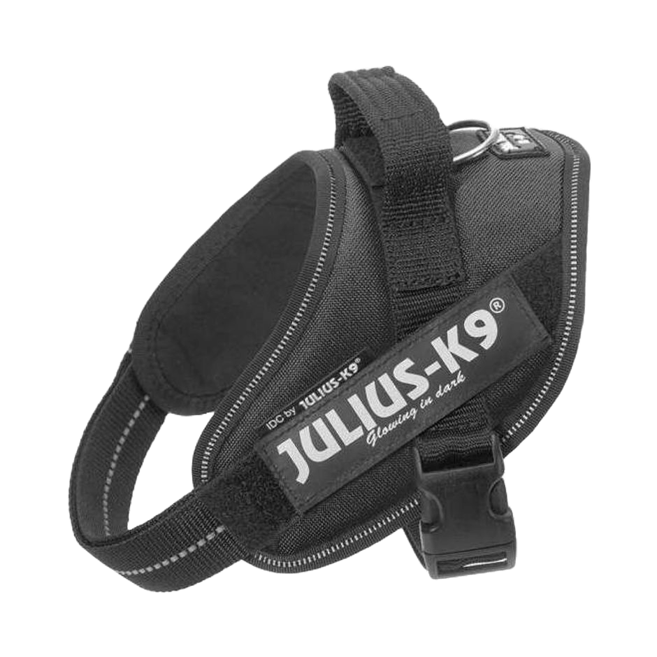 Julius - K9 IDC Sele Svart - DjurZooJulius - K9 IDC Sele SvartJulius K9DjurZooH6163355999053616335MiniJulius - K9 IDC Sele Svart