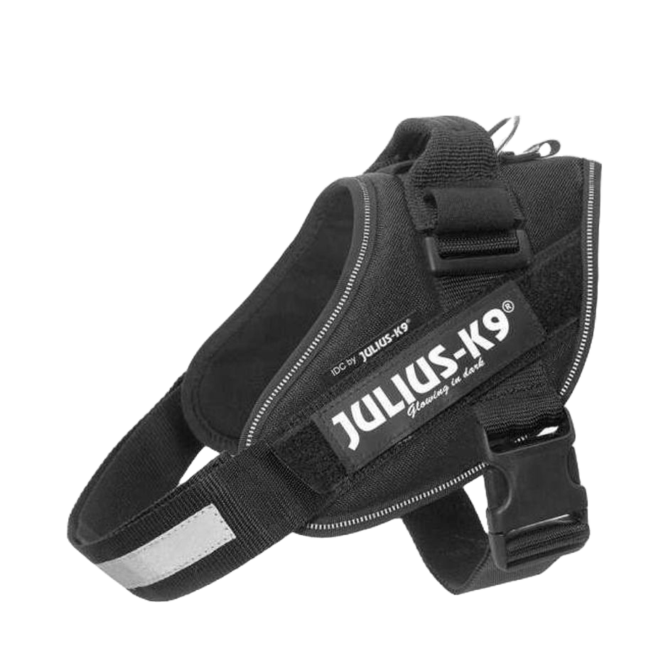 Julius - K9 IDC Sele Svart - DjurZooJulius - K9 IDC Sele SvartJulius K9DjurZooH61644159990536164410Julius - K9 IDC Sele Svart