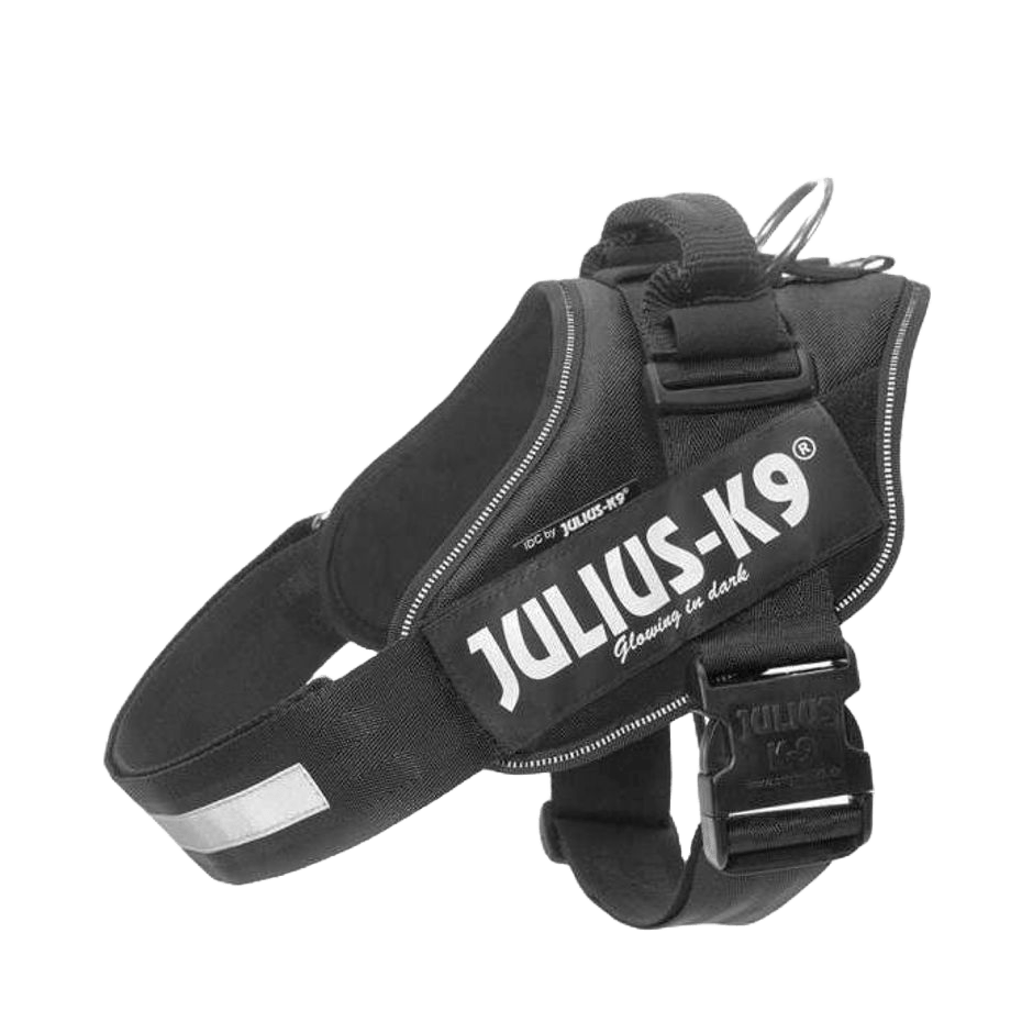 Julius - K9 IDC Sele Svart - DjurZooJulius - K9 IDC Sele SvartJulius K9DjurZooH61655759990536165571Julius - K9 IDC Sele Svart