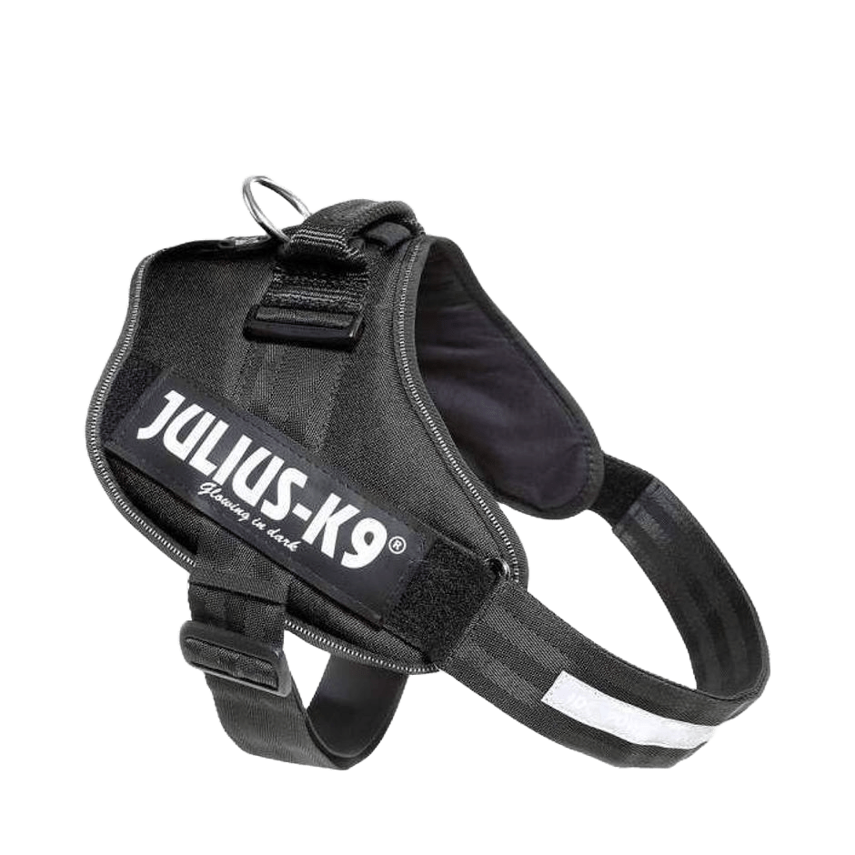 Julius - K9 IDC Sele Svart - DjurZooJulius - K9 IDC Sele SvartJulius K9DjurZooH61677959990536167793Julius - K9 IDC Sele Svart