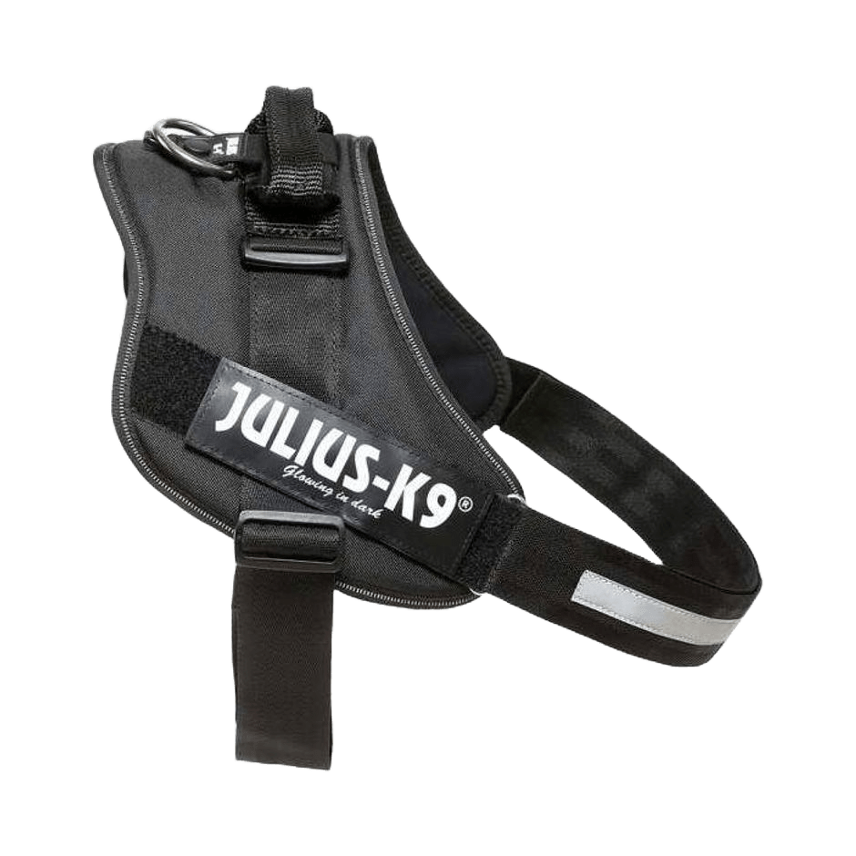 Julius - K9 IDC Sele Svart - DjurZooJulius - K9 IDC Sele SvartJulius K9DjurZooH61688559990536168854Julius - K9 IDC Sele Svart