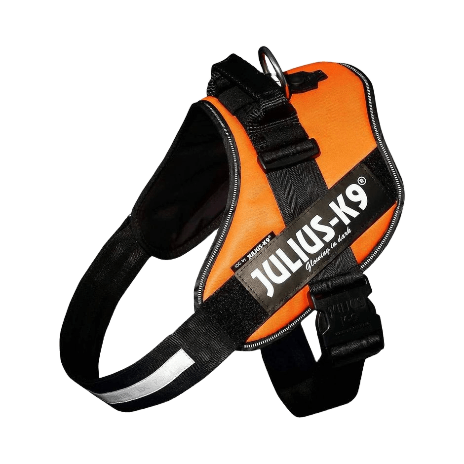 Julius - K9 IDC - sele Uv Orange - DjurZooJulius - K9 IDC - sele Uv OrangeJulius K9DjurZooH65985159990536598513Julius - K9 IDC - sele Uv Orange